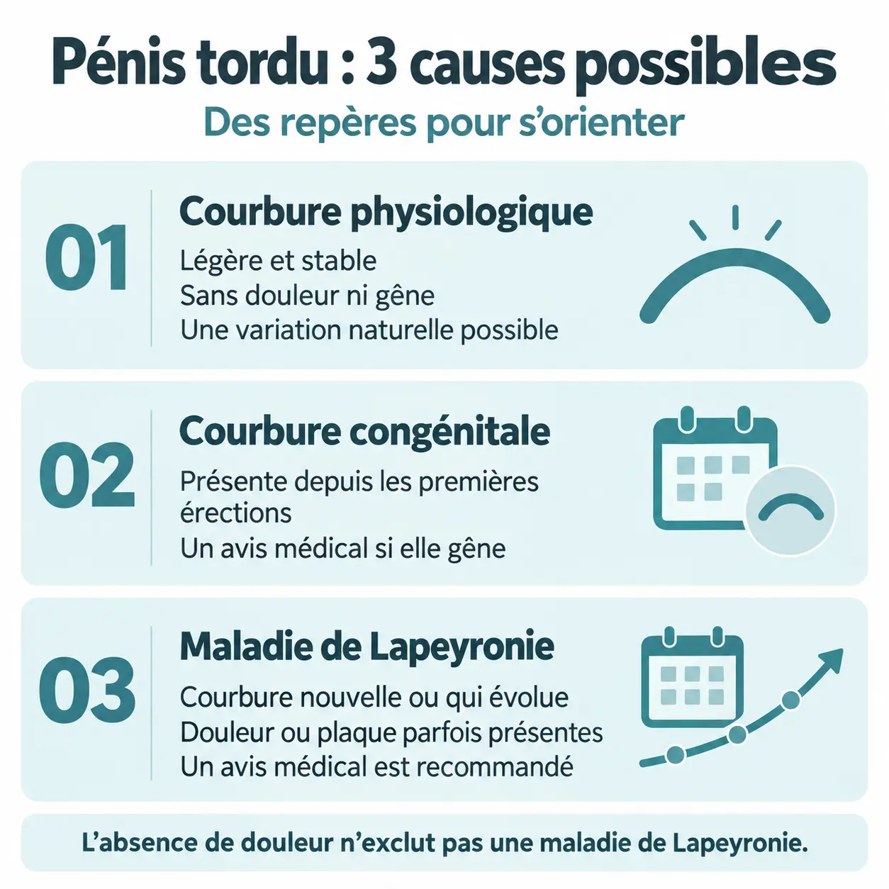 pénis tordu schéma : les 3 causes d’une verge courbée